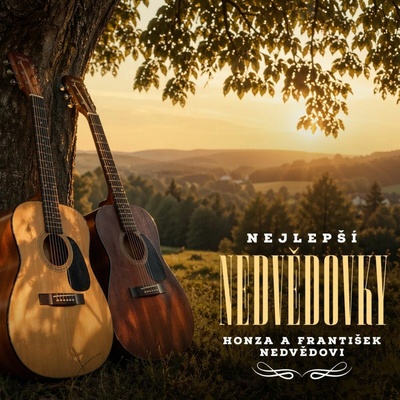 NEDVEDI HONZA A FRANTISEK - NEJLEPSI NEDVEDOVKY (2VINYL)