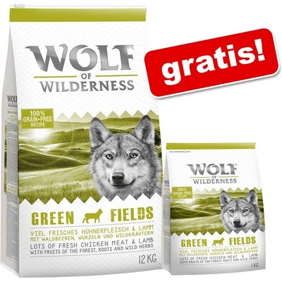 Wolf of Wilderness Wild Hills kačacie 12 kg