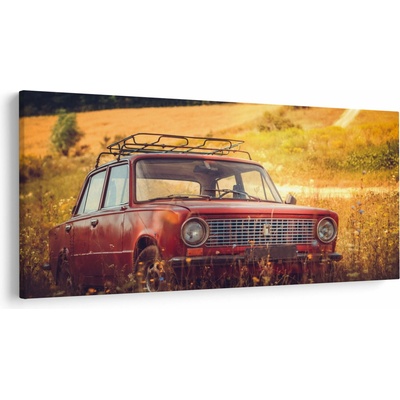 Obraz auta v poli, jednodielne 250x125 cm
