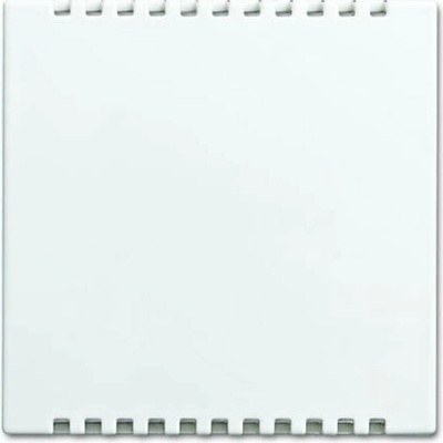 Busch-Jaeger 2CKA006599A3021
