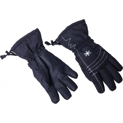 Blizzard Viva Echo ski gloves black/silver 17/18 – Hledejceny.cz
