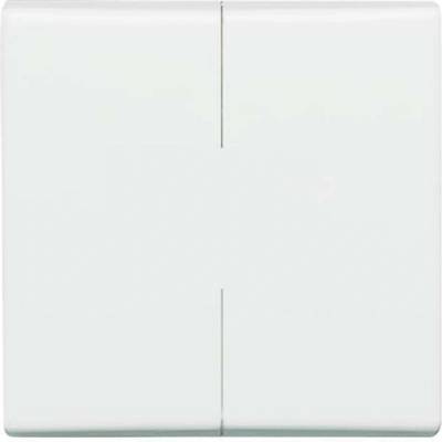 Busch-Jaeger 2CKA001731A1601