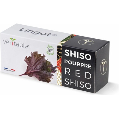 Véritable Lingot Fialový shiso BIO VLIN-S5-SHI033