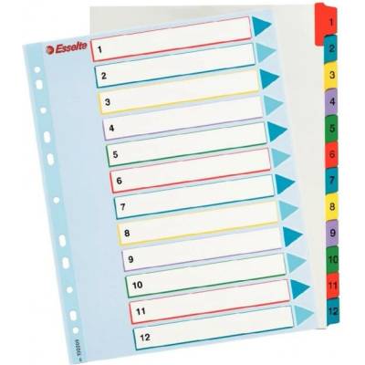 Kartónové registre Esselte Mylar s prepisovateľným predným listom, A4 Maxi, Mix farieb