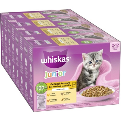 Whiskas Junior 24 x hydinový výber v želé 85 g