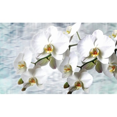 Preinterier FT2992 Fototapeta na stenu Biele kvety na bielom pozadí vlies 104cm x 70cm