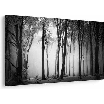 Obraz - Vlk v temnom lese, jednodielne 150x100 cm