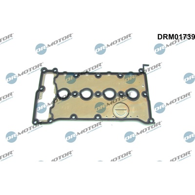 DR.MOTOR AUTOMOTIVE Tesnenie veka hlavy valcov DRM01739