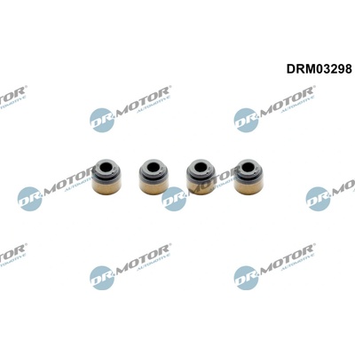 DR.MOTOR AUTOMOTIVE Sada tesnení drieku ventilu DRM03298