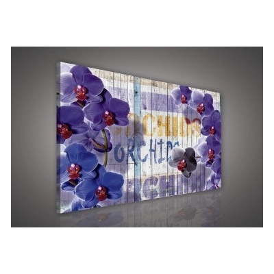 Obraz na plátne obdĺžník - OB1065 - Orchidea 100cm x 75cm - O1