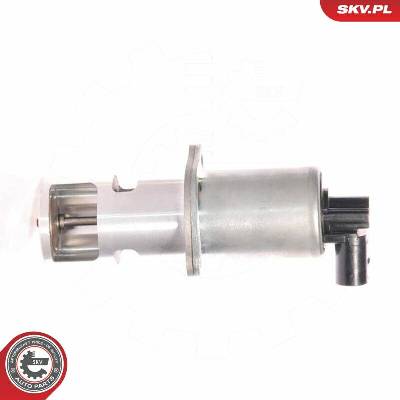 AGR - Ventil ESEN SKV 14SKV010