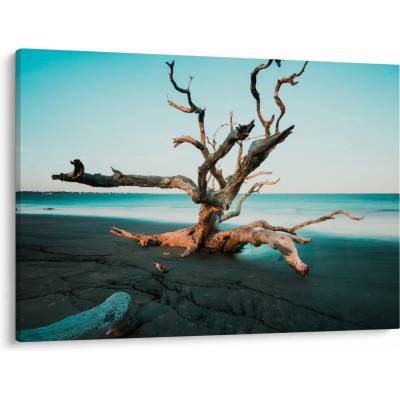 Obraz - Vyplavenie na pláži, jednodielne 100x70 cm