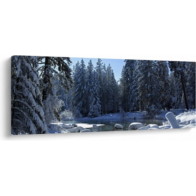 Obraz zasněženého lesa, jednodílný 145x58 cm
