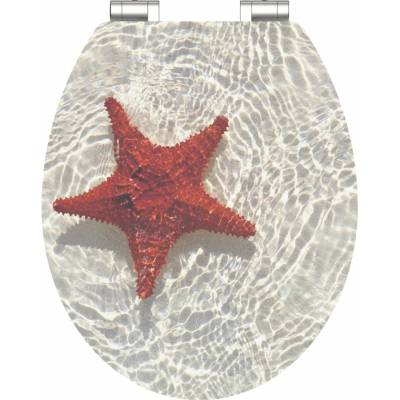 Eisl Red Starfish High Gloss 80541