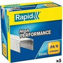 Rapid 24/6