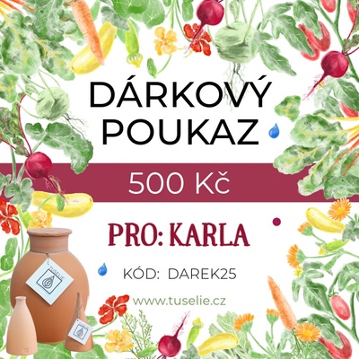 Dárkový poukaz 500 Kč