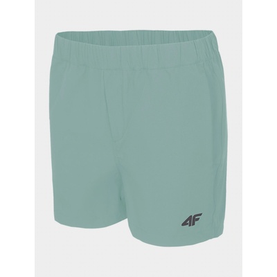 4F H4L22-SKDTR061 mint