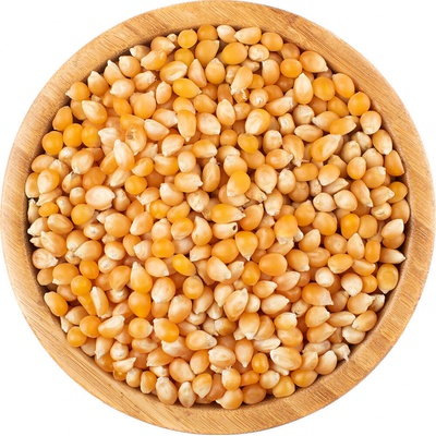 Vital Country Kukuřice na popcorn BIO 1 kg
