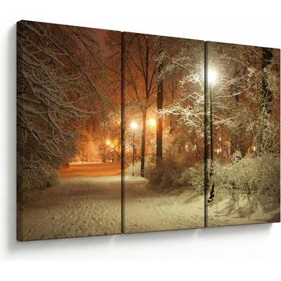 Obraz - Zasněžený park, třídílný 120x80 cm