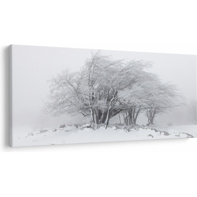 Obraz - Bílá zima, jednodílný 200x100 cm