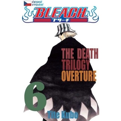 Bleach 6 - Tite Kubo (2013)