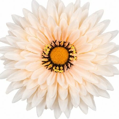 Umelá gerbera broskyňová 15 cm