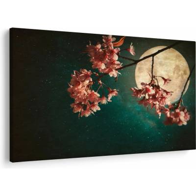 Obraz - Sakura v splne, jednodielne 120x80 cm