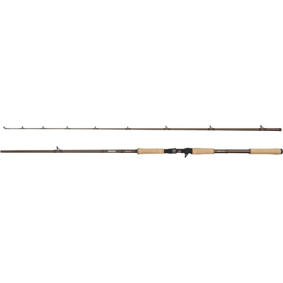 Abu Garcia Beast Pro 2 802 H Casting 2,44 m 30 - 110 g 2 díly