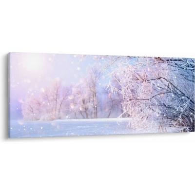 Obraz - Mrazivá zima, jednodielne 120x50 cm