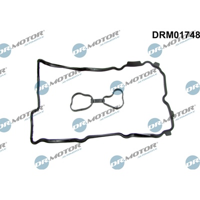 DR.MOTOR AUTOMOTIVE Tesnenie veka hlavy valcov DRM01748