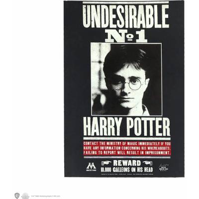 Moriarty Art Project Sešit černý Undesirable N°1 Harry Potter