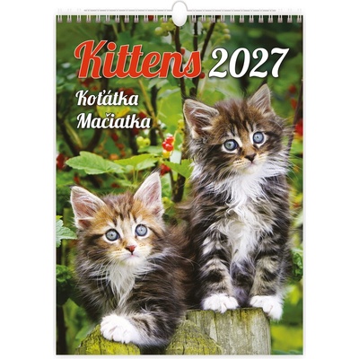 Koťátka nástěnný 2027