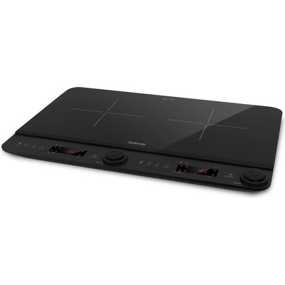 Salente InductPro2