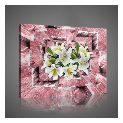 Obraz na plátne obdĺžník - OB1036 - Biele kvety 60cm x 40cm - O4