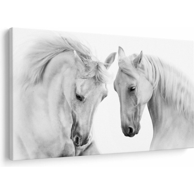 Obraz bílých koňů, jednodílný 90x60 cm