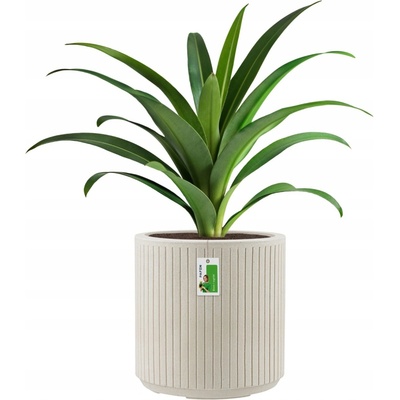 Prosperplast Květináč Coros Round pískový, 30 cm