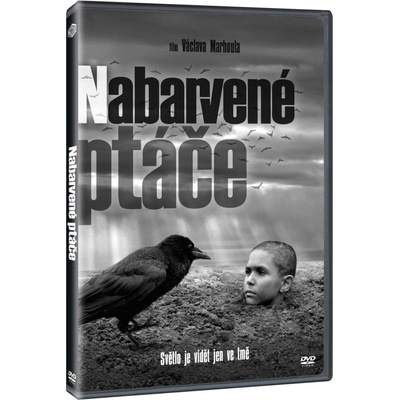 Nabarvené ptáče DVD