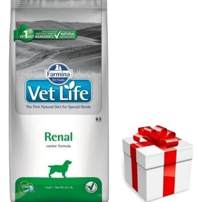 Vet Life Dog Renal 12 kg