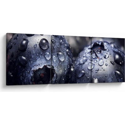 Obraz ovocia s kvapkami vody, trojdielne 90x30 cm