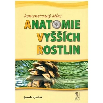 Komentovaný atlas anatomie vyšších rostlin - Jurčák, Jaroslav, Brožovaná – Hledejceny.cz
