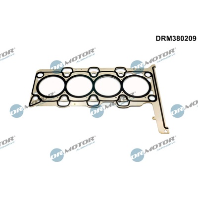 DR.MOTOR AUTOMOTIVE Tesnenie hlavy valcov DRM380209