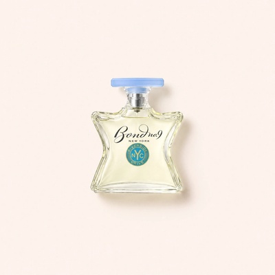 Bond No. 9 Riverside Drive parfémovaná voda pánská 100 ml