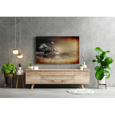 Divio Obraz na plátně, vzor 20343 Velikost: 60x90 cm