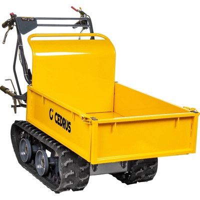 Hahn & Sohn Cedrus TR300G