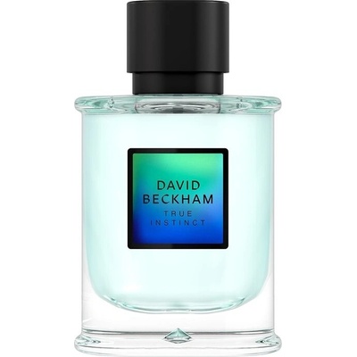 David Beckham True Instinct parfémovaná voda pánská 75 ml
