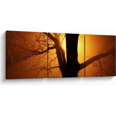 Obraz stromu v západu slunce, třídílný 90x30 cm