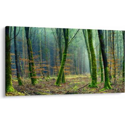 Obraz lesa, jednodielne 120x70 cm