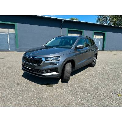 Skoda Karoq 1.5 TSI Balance DSG Tour 110 kW