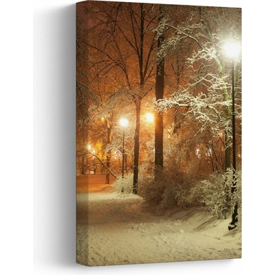Obraz - Zasněžený park, jednodílný 20x30 cm