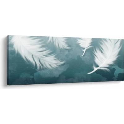 Obraz - Bílá peříčka, jednodílný 100x40 cm